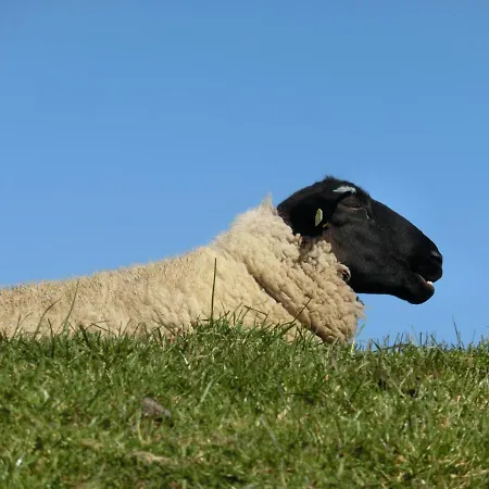 Suedstrandperle 비크아프포르